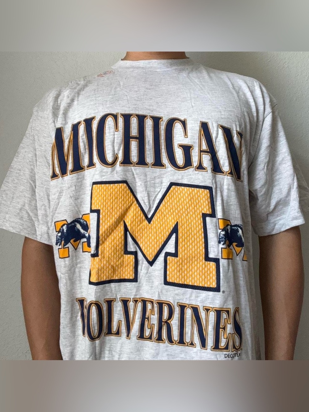 Vintage 1990s Michigan Wolverines Championship Graphics Grey Tee Shirt